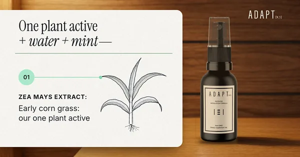 Adapt X.1 ad, Ingredient card layout, 1.91:1: a Zea mays ingredient card beside the bottle on a wooden table