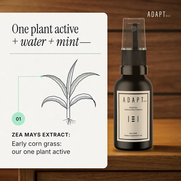 Adapt X.1 ad, Ingredient card layout, 1:1: a Zea mays ingredient card beside the bottle on a wooden table