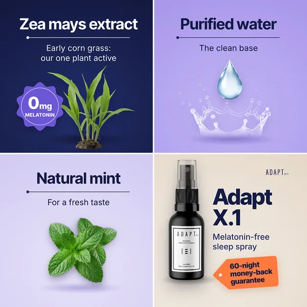Adapt X.1 ad, Four panel layout, 1:1: four panels: Zea mays extract, purified water, natural mint and the bottle