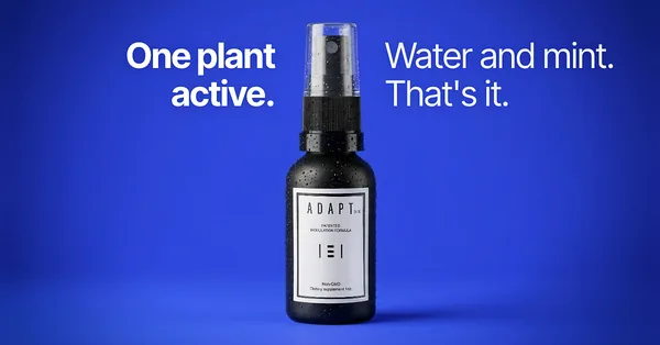 Adapt X.1 ad, Solid hero layout, 1.91:1: the bottle on solid blue, headline "One plant active. Water and mint. That's it."