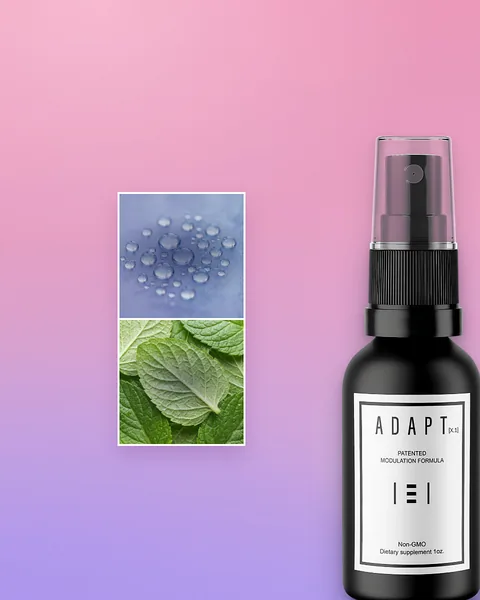 Adapt X.1 ad, Swatch layout without copy, 4:5: the photograph alone